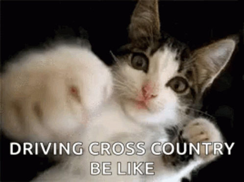 a cat laying on its back with the words driving cross country be like