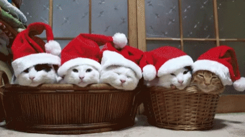 a group of kittens are in baskets with santa hats