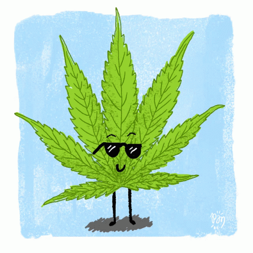 a cannabis with sunglasses on his face and arms
