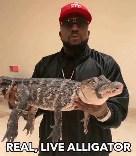 a person holding up a alligator, that has captioning real alligator
