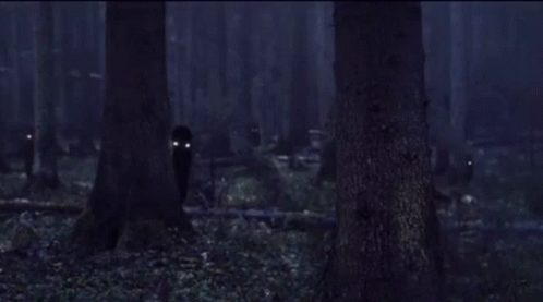 a person stands in the middle of a forest