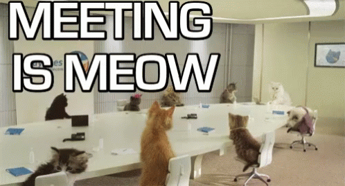 a conference table with two cats sitting around it