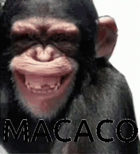 a gorilla that is wearing a fake face with the word macacon on it
