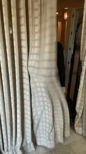 a cat sitting on a sofa next to the curtains