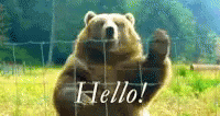 a po with the word hello, and a bear holding the strings