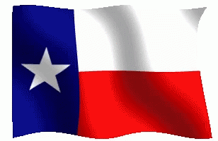 the flag of texas on a white background
