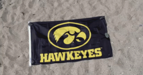 an outside s of a university of the air force flag with the word hawkes on it