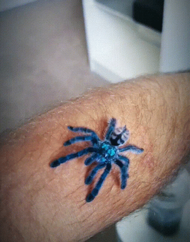 this is an image of a spider on someones arm