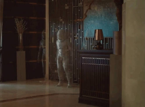 there is a statue and a vase behind the door