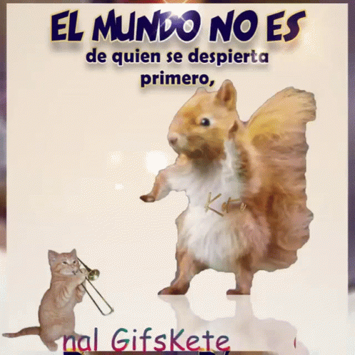 a white sign with the message in spanish and a cat playing