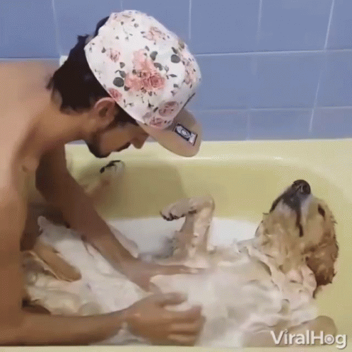 a person that is washing a penguin in a bath tub