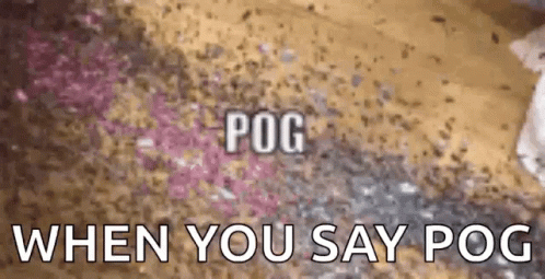 a sign reads pog when you say pog is for 