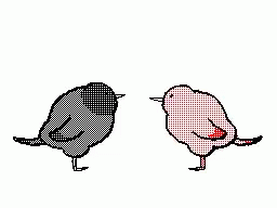 a bird standing next to another bird in a white background
