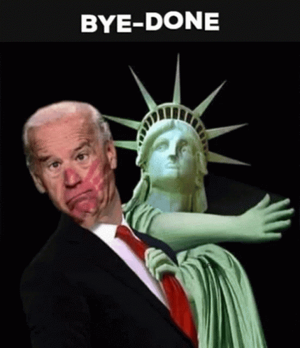 the cover of the book obama and biden