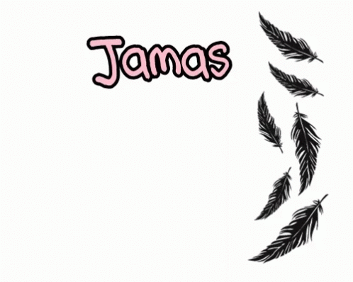a drawing of the word james surrounded by black feathers