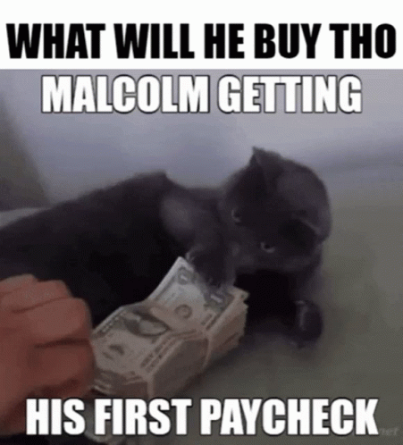 the cat is putting money in its owner's pants