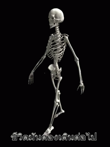 a skeleton holding onto the word human anatomy