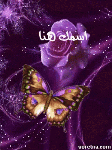 a erfly and some pink flowers with the name al shauh on it