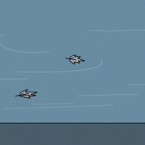 three birds flying overhead to fly through the sky