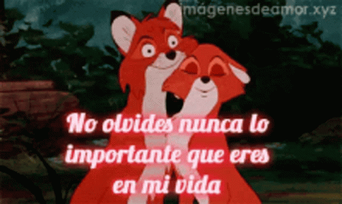 a cartoon image of two animated foxes with a caption that says, no obididas nu cacoa lo importante que es en miyica en mi ribda
