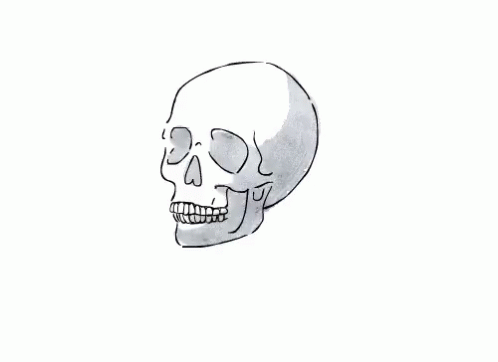 a white background with a black and gray skull