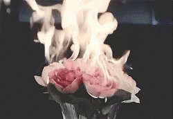 smoke is billowing from a vase filled with purple flowers