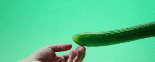 a hand reaching out towards the tip of a green cucumber