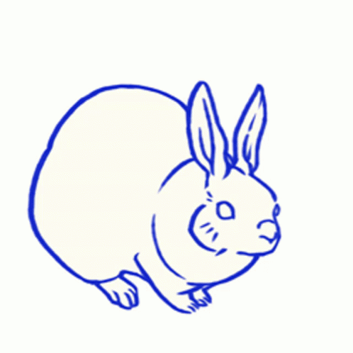 a drawing of a bunny rabbit
