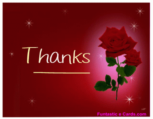 thank you with a blue rose in front of stars