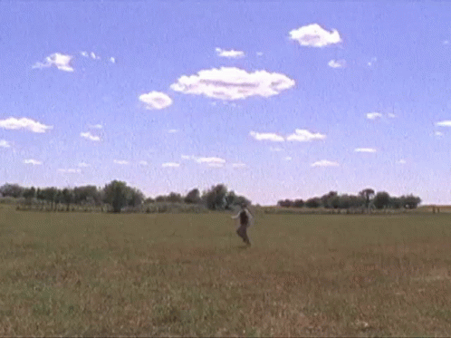 a person is walking in an open field with a kite