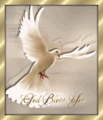 a white dove with words that read god has you