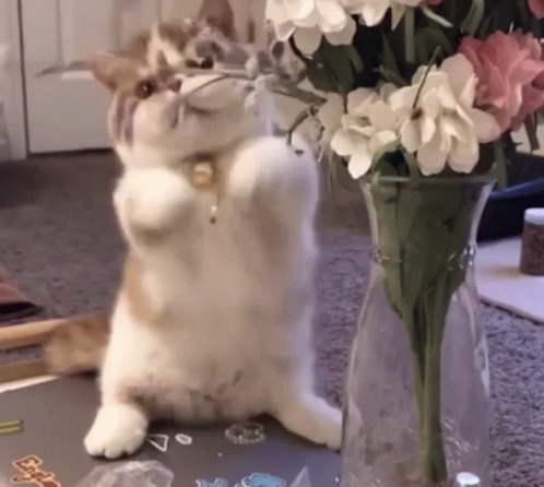 there is a cat sitting next to a flower vase