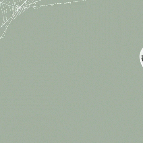 the white spider web is attached to a black and silver cellphone