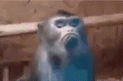 a monkey sitting on a table next to a mirror