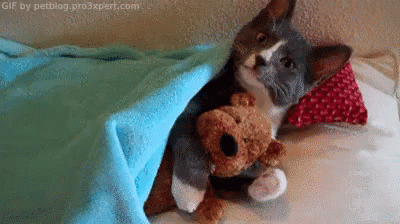 a stuffed animal sitting next to a teddy bear on a bed
