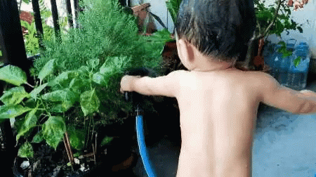 a child dressed as a boy holding an arm out to reach the plants