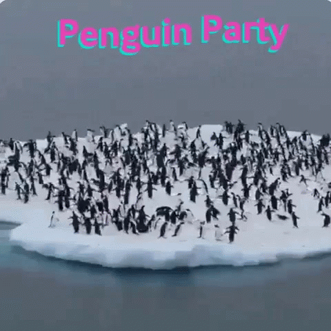 a large group of penguins standing on the ice