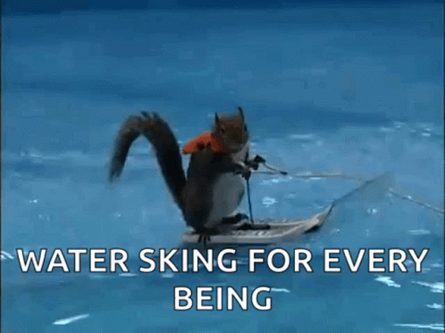 a squirrel is riding on a small boat in the water