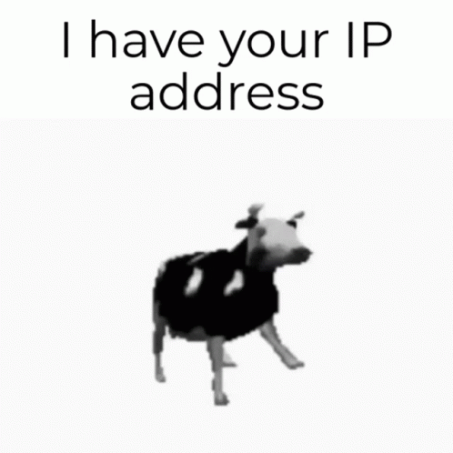 a cow with a sweater on and text, that reads, i have your ip address