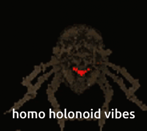 a spider is staring in the dark with the words homo homooidides