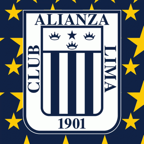 a poster with blue stars surrounding the badge