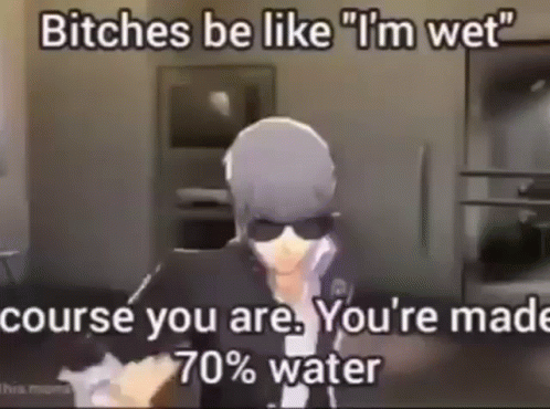 a video game with text on it that says bitches be like't wet