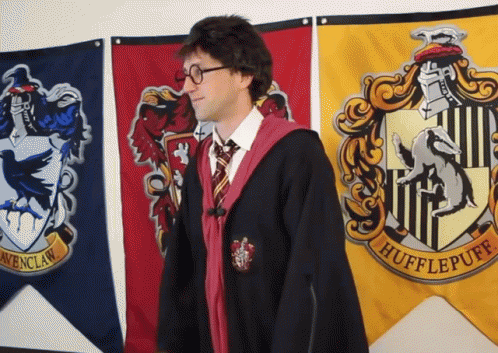 a young man wearing glasses, a black and blue robe with an owl on it is in front of several harry potter banners