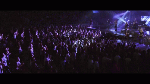 a large group of people in an auditorium at a concert