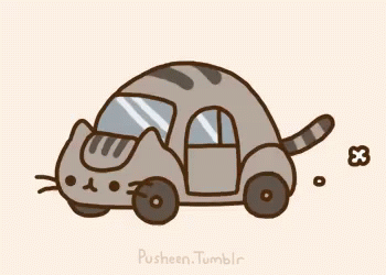 there is a small cat driving a car