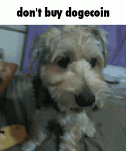 an ad with a dog on it and a poster above that says, don't buy dogecoin
