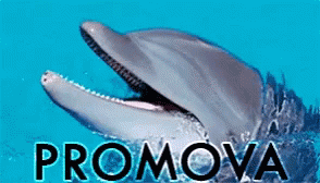 a yellow poster with words pronova and a white dolphin