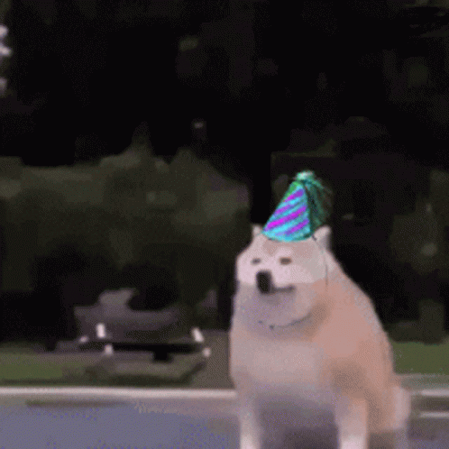 white dog with a yellow party hat standing outside