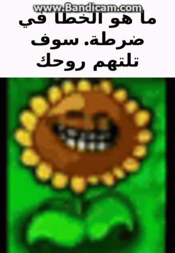 a cartoon style flower in arabic, in a green background