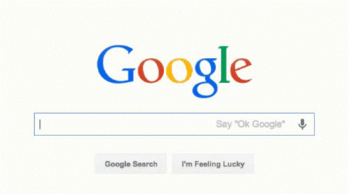 a screens of a webpage with the google logo on it